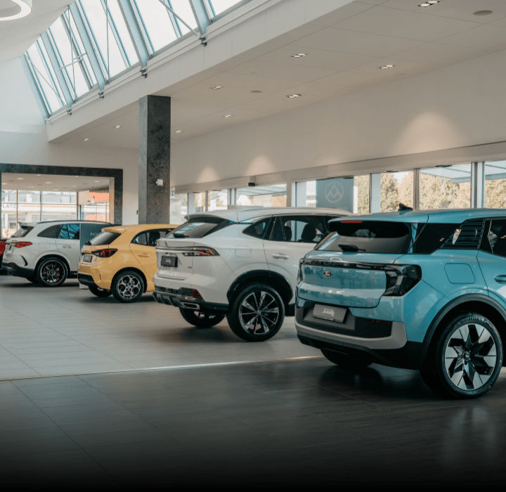 Frühlingsausstellung bei Th. Willy