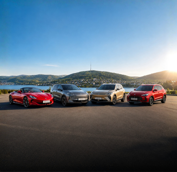 MG 0% Leasing bei Th. Willy